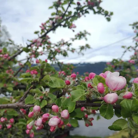 Feriehus Ved Fjorden I Idylliske Utvik I Stryn Villaer