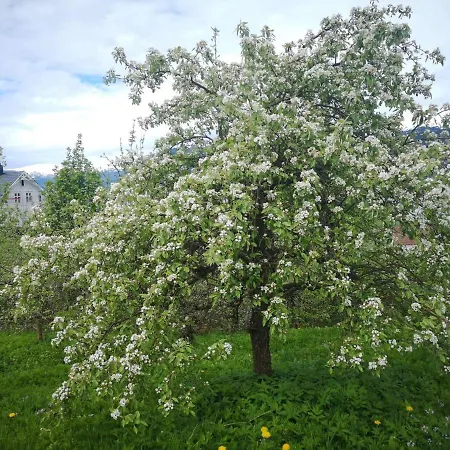 Feriehus Ved Fjorden I Idylliske Utvik I Stryn Villaer Solberg (Sogn og Fjordane)